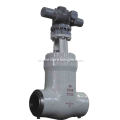 C12A Power Station Gate Valve